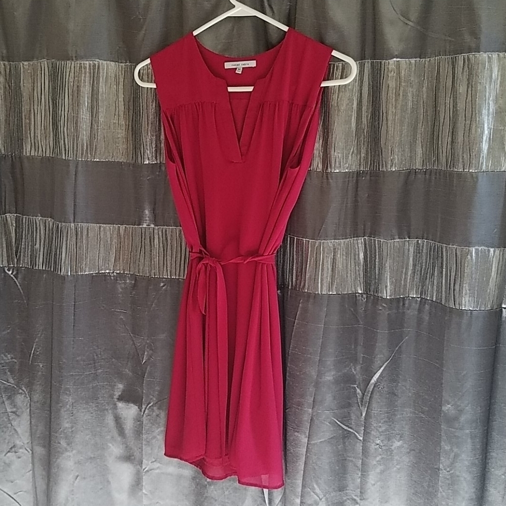 Naked Zebra V Neck Raspberry dress Size Medium